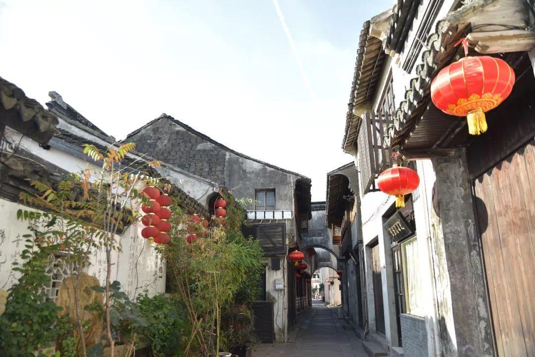 逃离荒废丛林屋